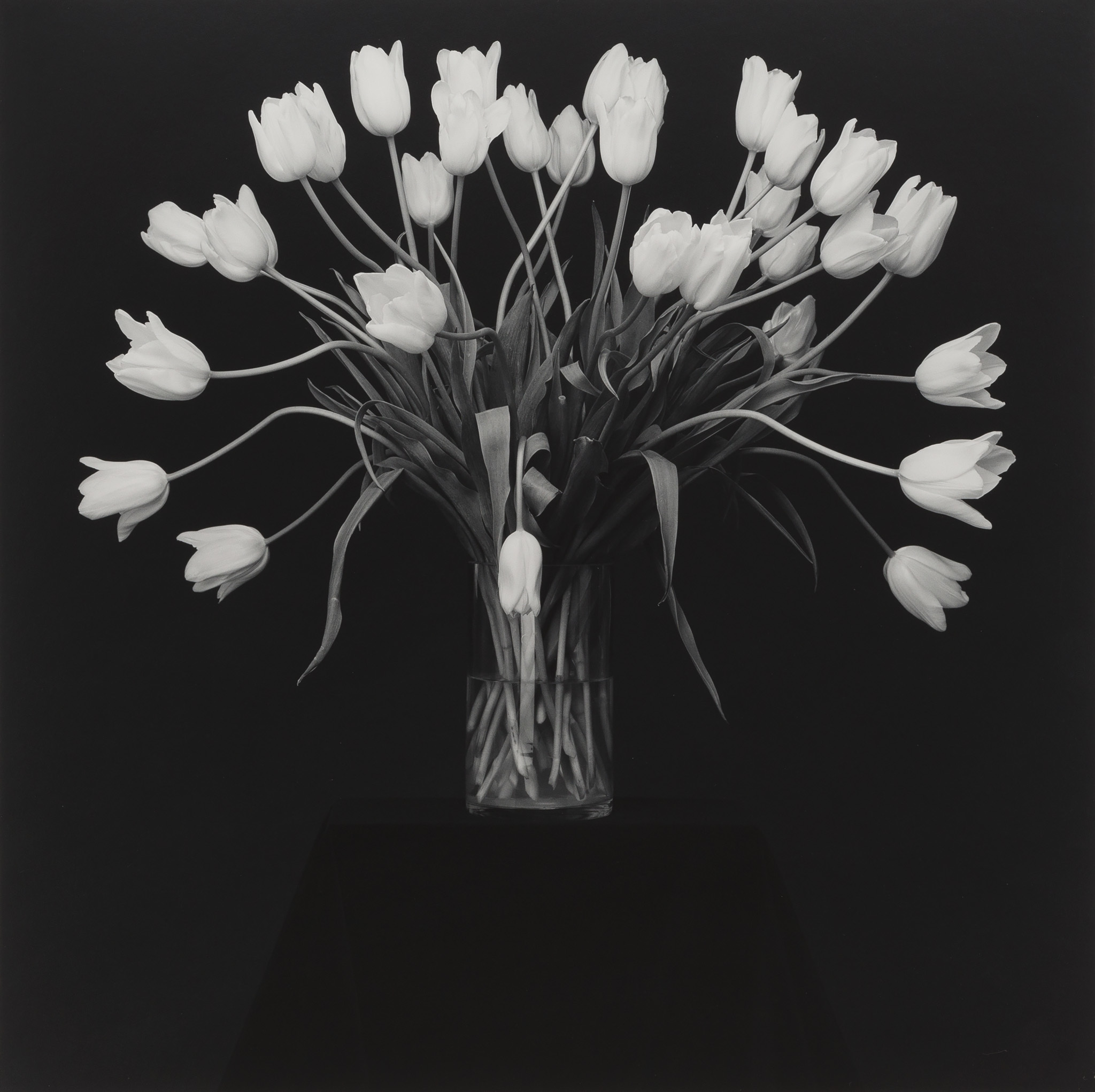 Robert Mapplethorpe | Xavier Hufkens Robert Mapplethorpe | Xavier Hufkens