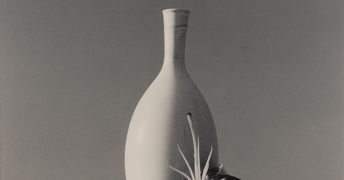 Flower | Xavier Hufkens