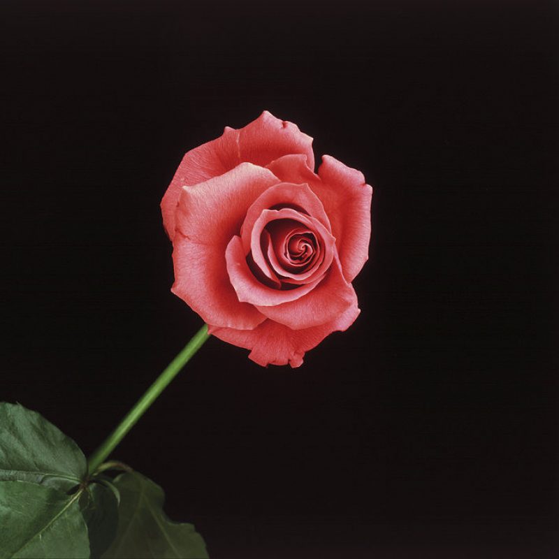 MAPP-544z-1989.jpg?mtime=