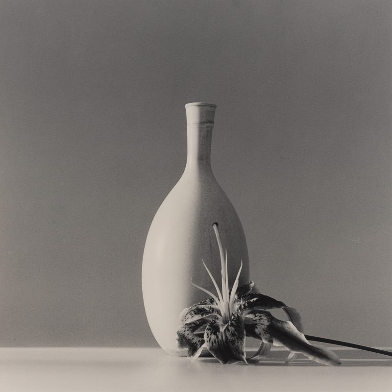 アート・デザイン・音楽 Mapplethorpe X7 MAPR-1024b-1985.jpg?mtime=
