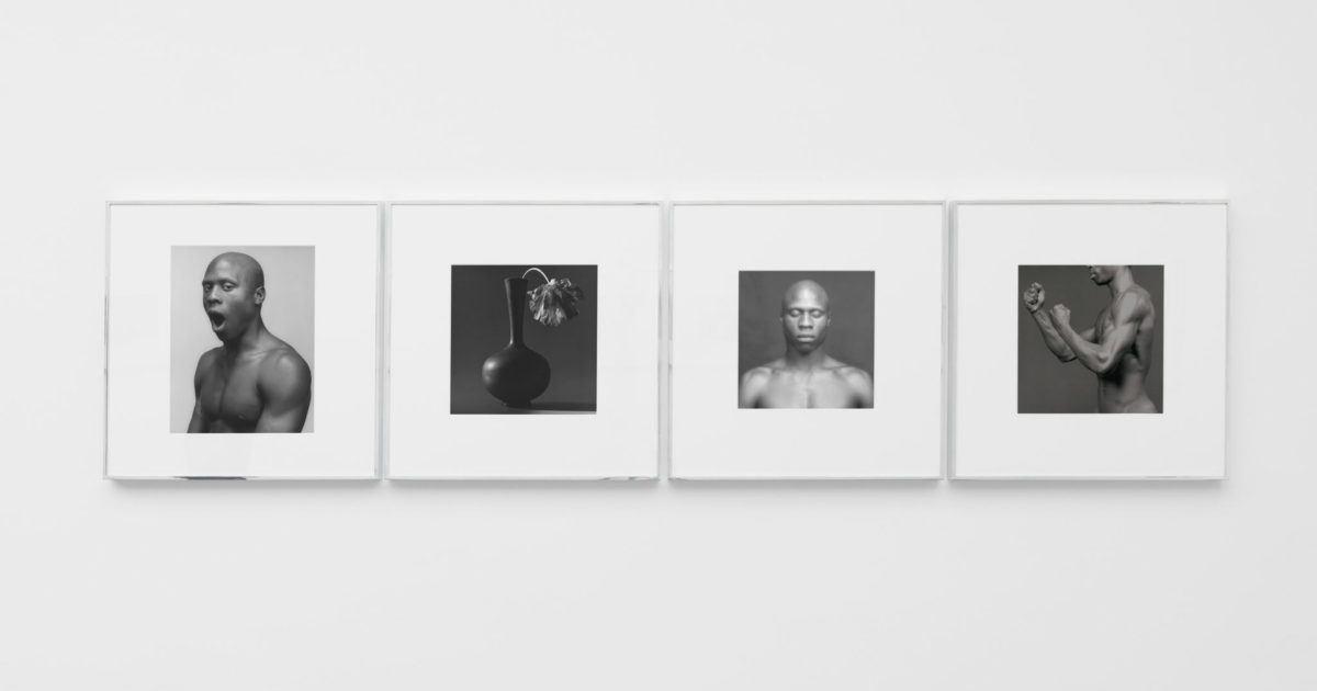 Mapplethorpe: Mapplethorpe. Robert: 9783832792145: Amazon
